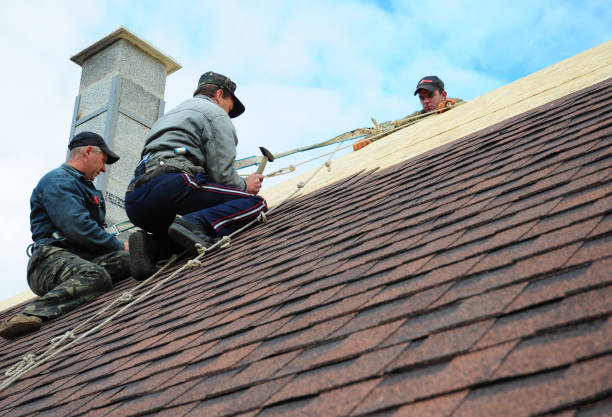 Best Residential Roofing Contractor  in Brookhaven, MS
