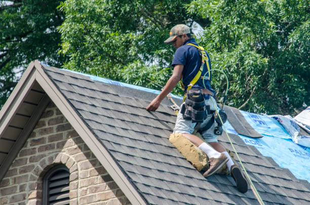 Best Gutter Installation and Roofing  in Brookhaven, MS